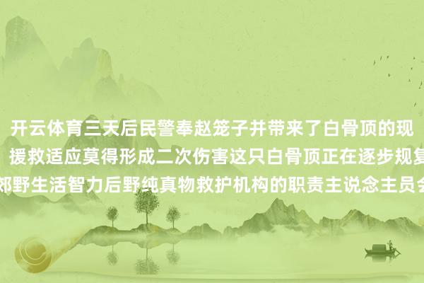 开云体育三天后民警奉赵笼子并带来了白骨顶的现状音书“辛亏发现实时、援救适应莫得形成二次伤害这只白骨顶正在逐步规复等它满盈康复、具备郊野生活智力后野纯真物救护机构的职责主说念主员会遴荐一处妥当的水域放归”民警说得知白骨顶逐步好转后张红梅悬着的心落了地“我仅仅作念了一件力所能及的小事镇里总宣传保护野纯真物的常识咱们王人知说念这些小家伙是东说念主类的‘好一又友’遭逢这种情况能救一定会救”谈起此次援救阅历张红梅的语言朴实又古道顺顺辅导若发现受伤、受困的野纯真物切勿暗里处分应实时关联公安机关或野纯真物救护机构由专科东说念主员进行援救让咱们共同业动为野纯真物构筑善良家园图片由北小营镇提供开始：北京顺义【开始：京报网】-开.云体育网页版最新地址下载 官网入口