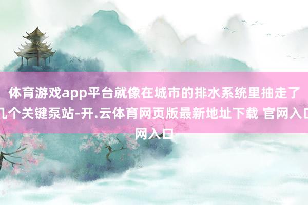 体育游戏app平台就像在城市的排水系统里抽走了几个关键泵站-开.云体育网页版最新地址下载 官网入口