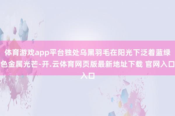 体育游戏app平台独处乌黑羽毛在阳光下泛着蓝绿色金属光芒-开.云体育网页版最新地址下载 官网入口