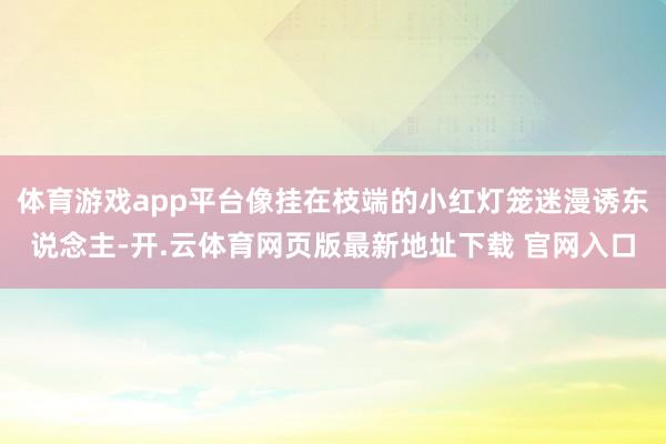 体育游戏app平台像挂在枝端的小红灯笼迷漫诱东说念主-开.云体育网页版最新地址下载 官网入口